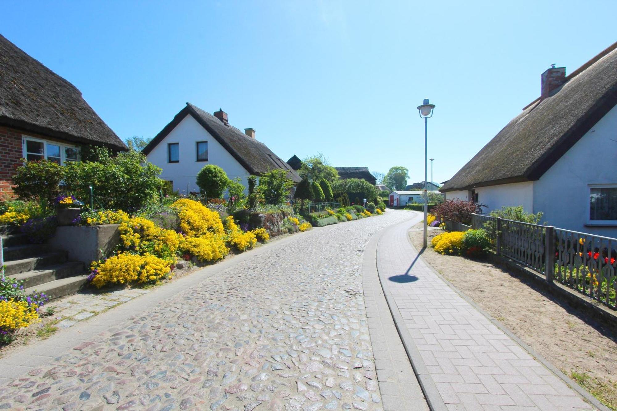 Ferienhaus Distelfink Nr 04 Groß Zicker Exterior foto